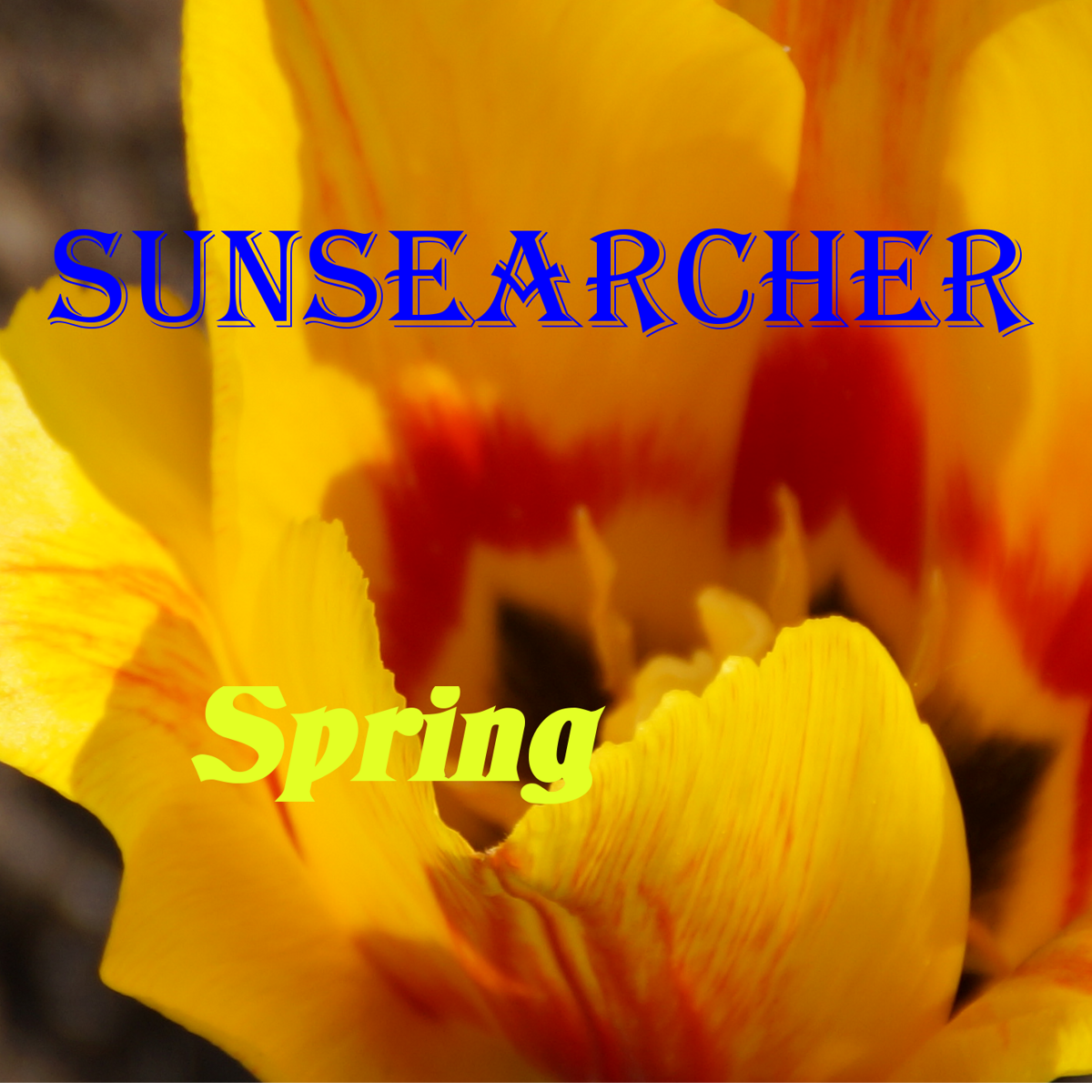SUNSEARCHER Single Spring
